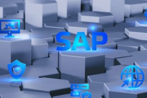 sistem sap